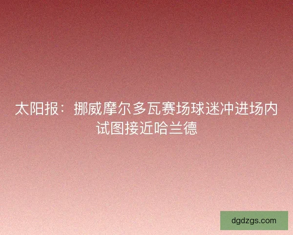 太阳报：挪威摩尔多瓦赛场球迷冲进场内试图接近哈兰德